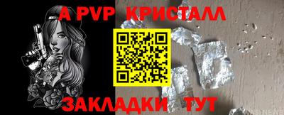 шишки Новокубанск