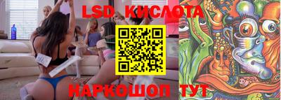 шишки Новокубанск