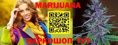 шишки Новокубанск