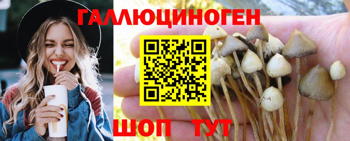 Трёхгорный  Галлюциногенные грибы Cubensis  Вход с VPN 